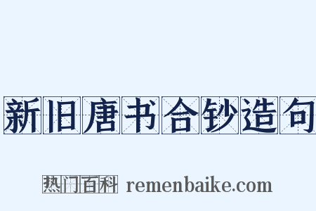 新旧唐书合钞造句是什么意思的图片